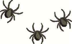 araignées, Conceptions
