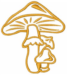 champignons, Conceptions