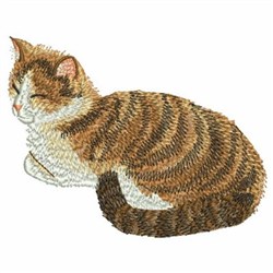chats, Conceptions