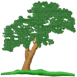 nature, Conceptions